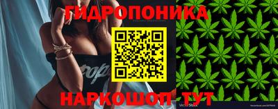эйфоретик Краснознаменск