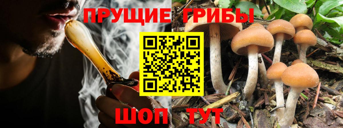 Галлюциногенные грибы ЛСД  купить закладку  Железногорск  Псилоцибиновые грибы Cubensis  Вход с VPN 